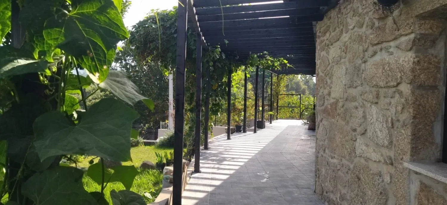 Excelente Moradia Independente T3 em Pedra com Jardim e Terreno Urbano, Sabariz - Vila Verde!